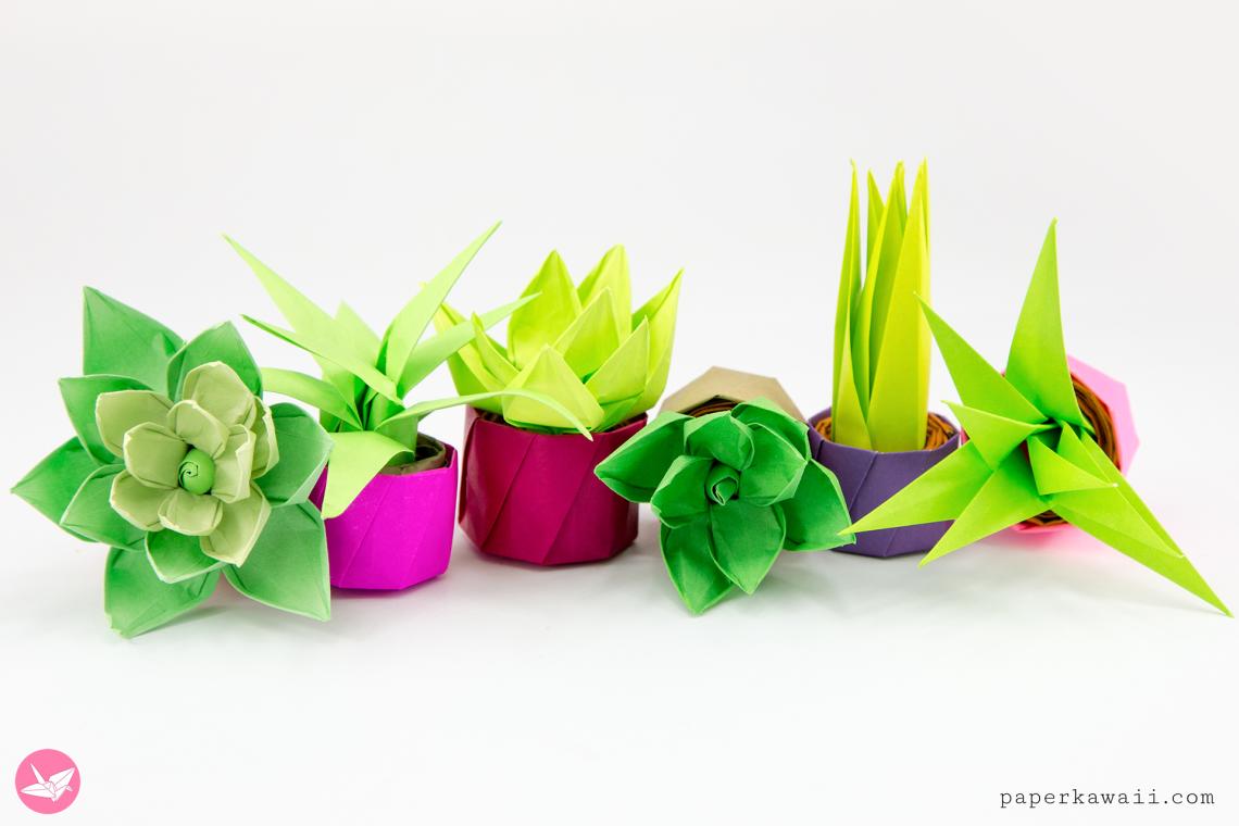Origami Potted Succulent Plants