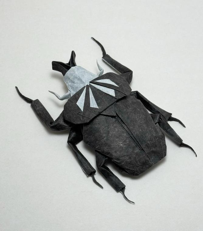 Goliath Beetle