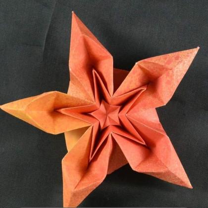 Shannon`s Star