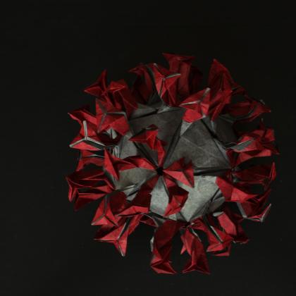 Coronavirus