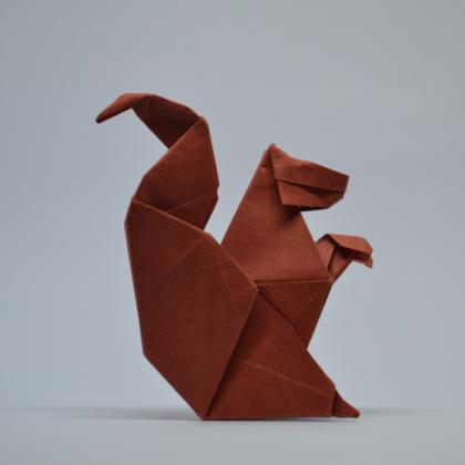 Ardilla / Squirrel