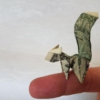$Squirrel 