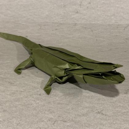 Alligator