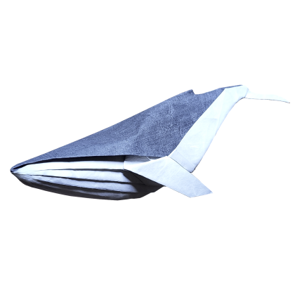Humpback Whale