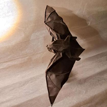Bat v1 