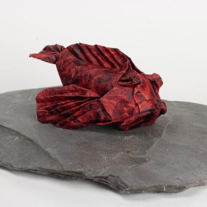 Reef Stone Fish