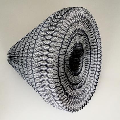 Conus